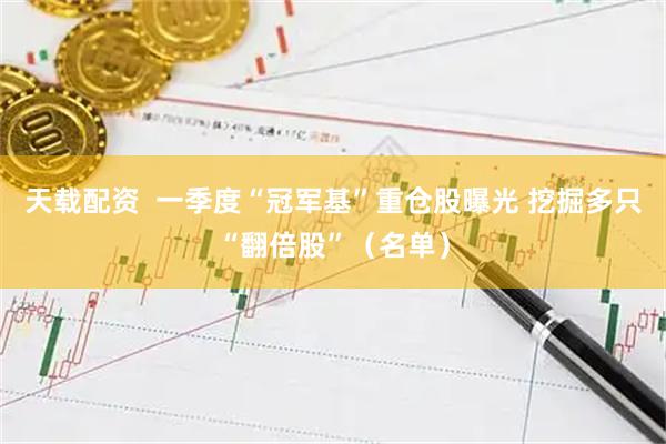 天载配资  一季度“冠军基”重仓股曝光 挖掘多只“翻倍股”（名单）