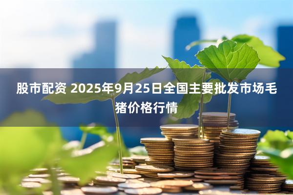 股市配资 2025年9月25日全国主要批发市场毛猪价格行情