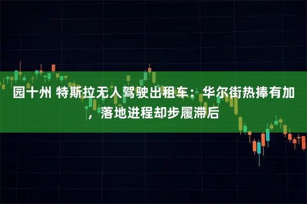 园十州 特斯拉无人驾驶出租车：华尔街热捧有加，落地进程却步履滞后