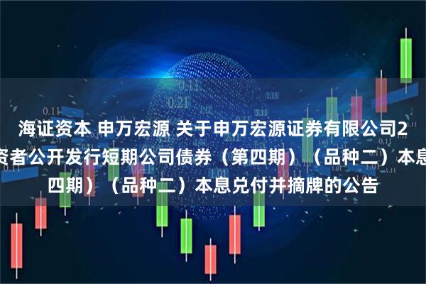 海证资本 申万宏源 关于申万宏源证券有限公司2024年面向专业投资者公开发行短期公司债券（第四期）（品种二）本息兑付并摘牌的公告