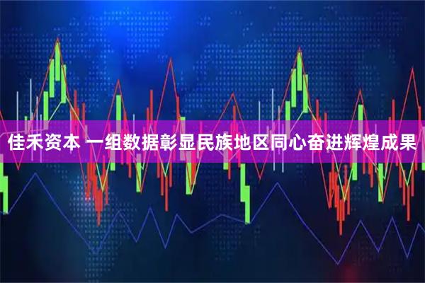佳禾资本 一组数据彰显民族地区同心奋进辉煌成果